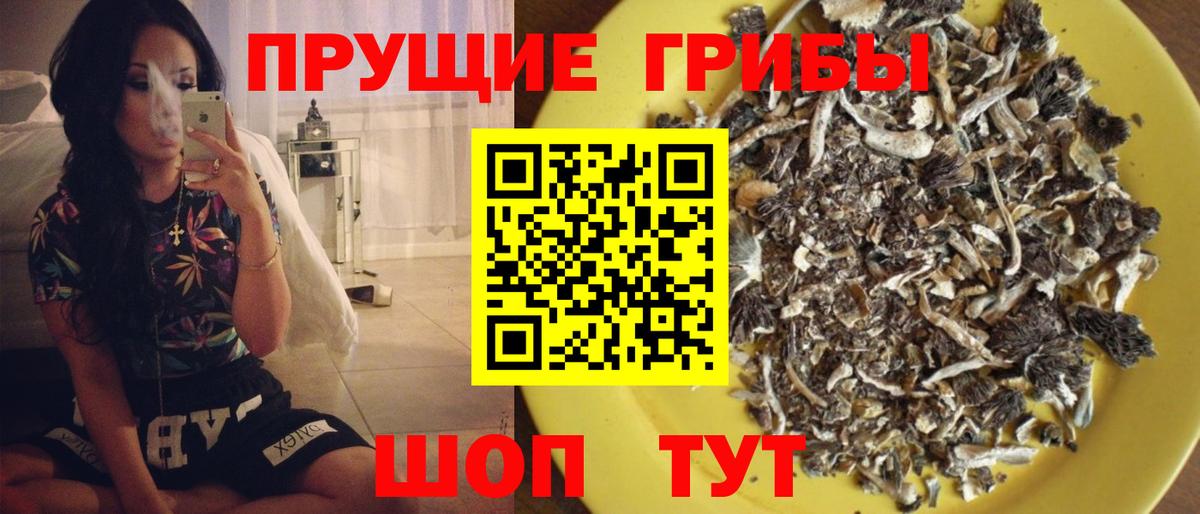 Галлюциногенные грибы мицелий Бузулук